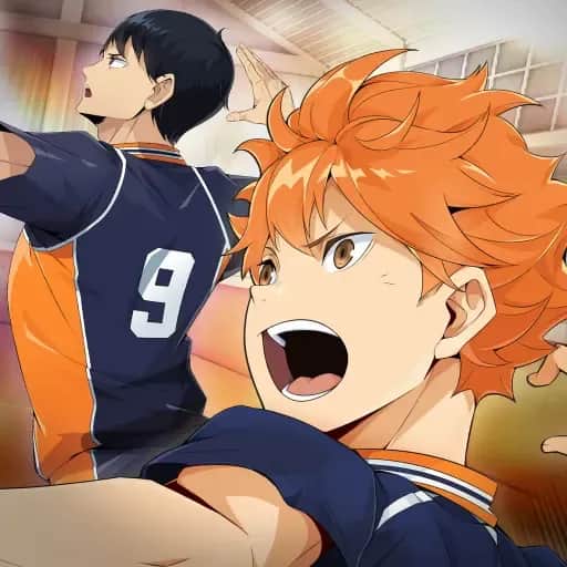 Haikyu Fly High